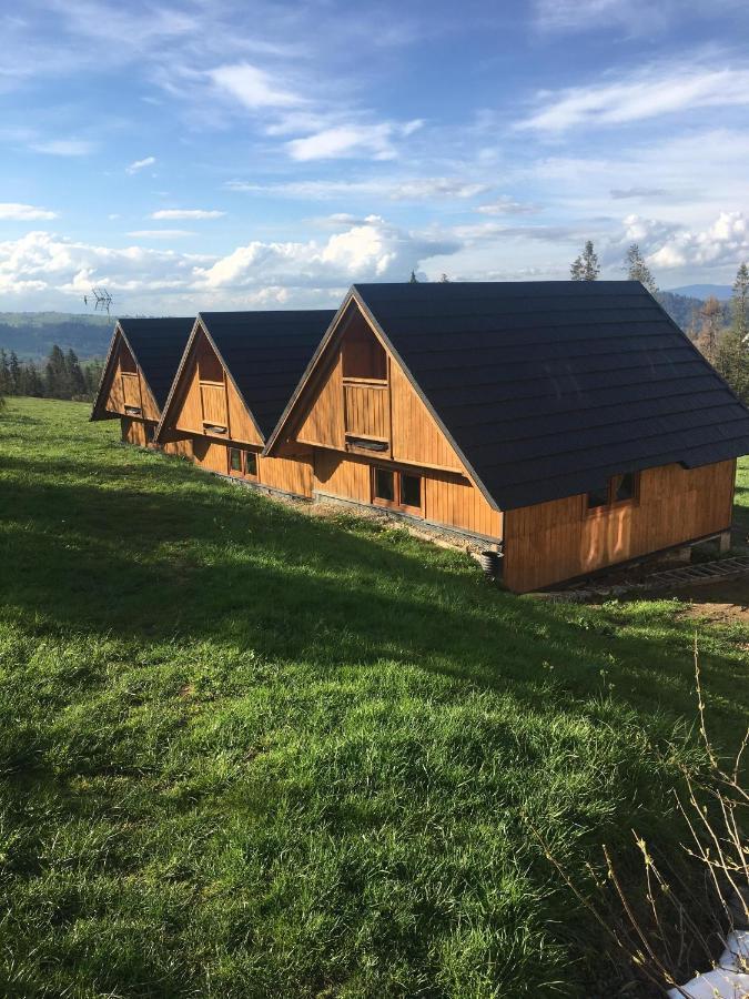 Domek Na Skarpce 扎科帕内 外观 照片